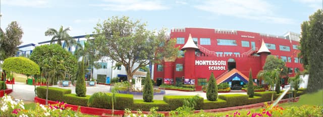 Little Angels School