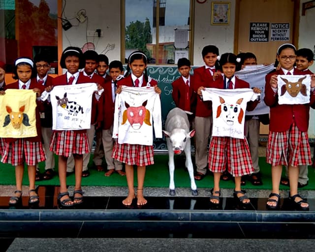 Kent Valley International School Gallery 1