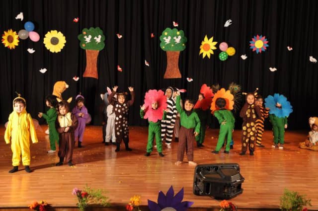 Abhinav Bharati High School Gallery 12