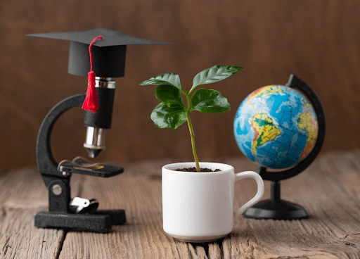 From Classroom to Global Citizenship: The DRSIS Approach to 21st Century Education