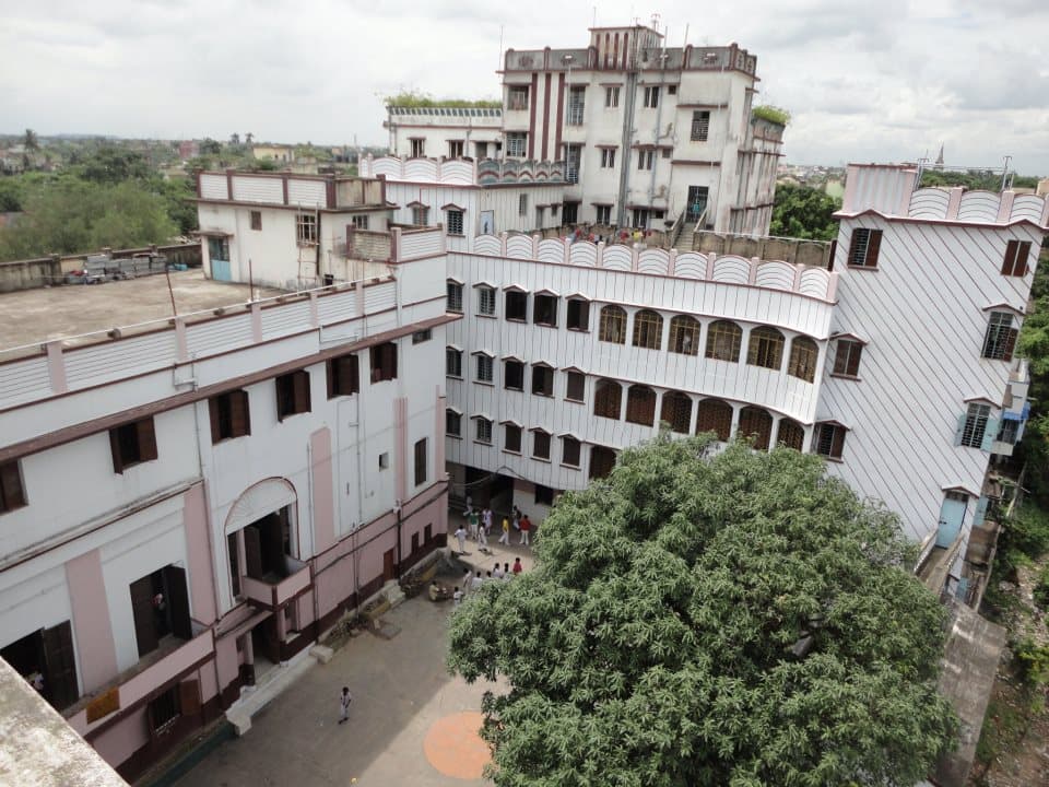 View All