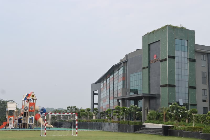 View All