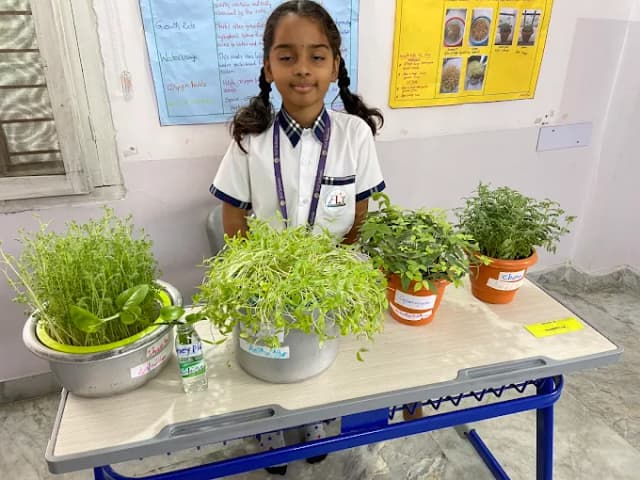 FLY Holistic School Gallery 10