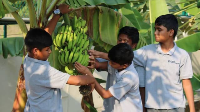 The Academic City School - Indore Gallery 8